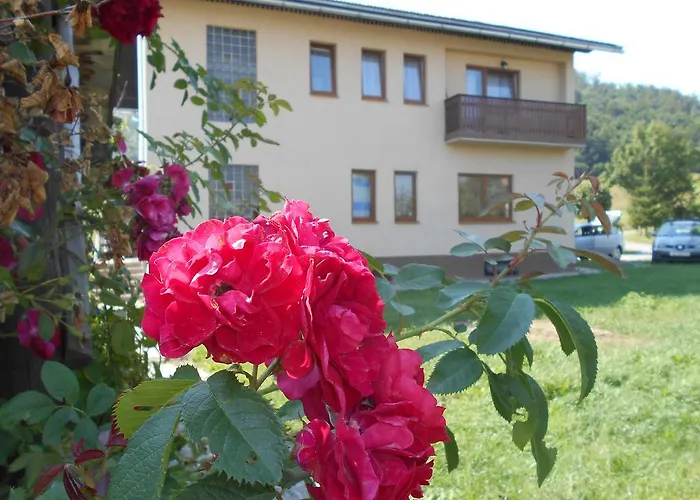 T&m Lägenhet Mrkopalj