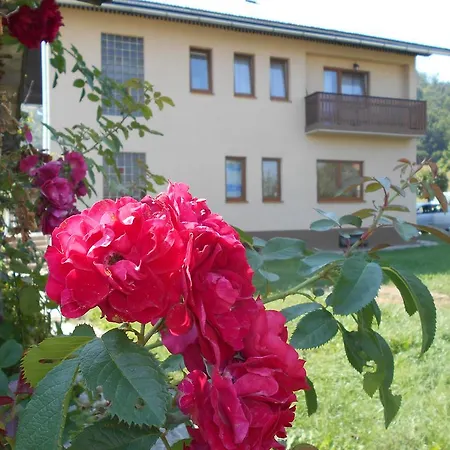 T&m Apartment Mrkopalj