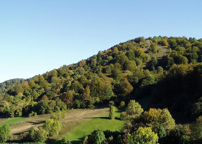 Apartment T&m Mrkopalj