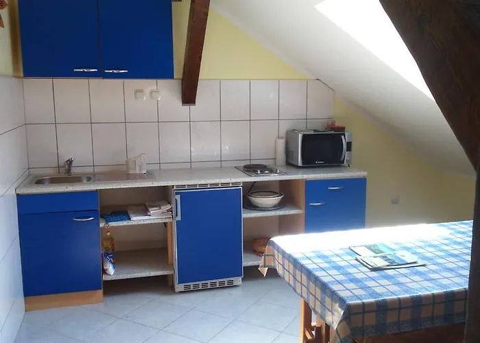 T&m Apartament